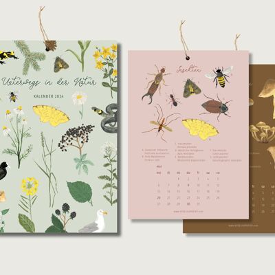 Calendario 2024 - De paseo por la naturaleza | DIN A5 | Calendario de pared | naturaleza | Plantas | botánico | Ilustración | Flores || CORAZON y PAPEL