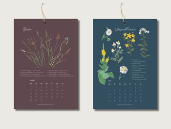Calendrier 2024 - Sorties nature | Din A5 | Calendrier mural | naturel | Plantes | Botanique | Illustration | Fleurs || COEUR et PAPIER 2