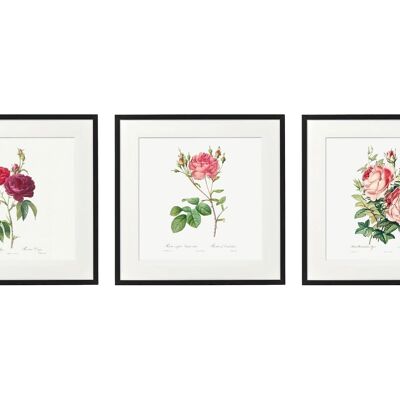 Set of Three Pink Rose Prints in Frames