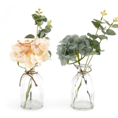 Ensemble de deux hortensias dans des vases en verre