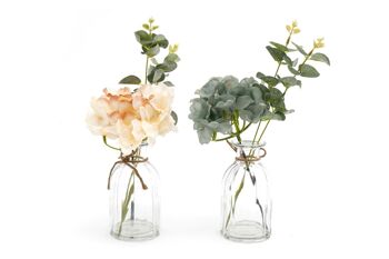 Ensemble de deux hortensias dans des vases en verre 1