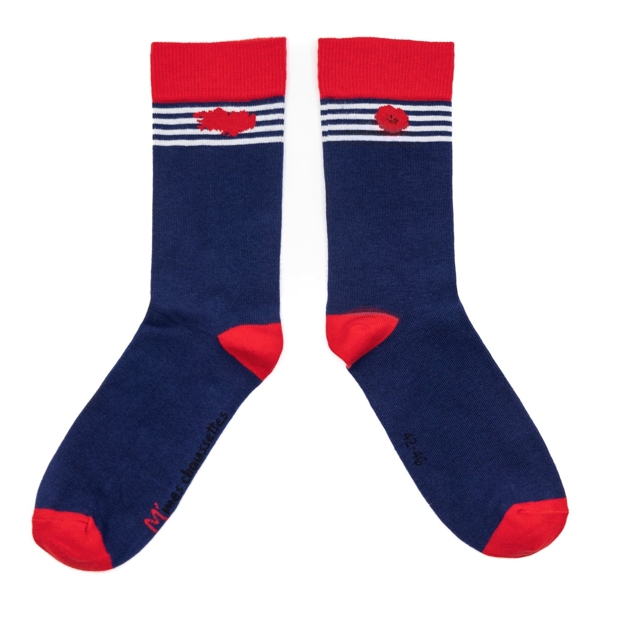 Calzini in cotone biologico France - Breton