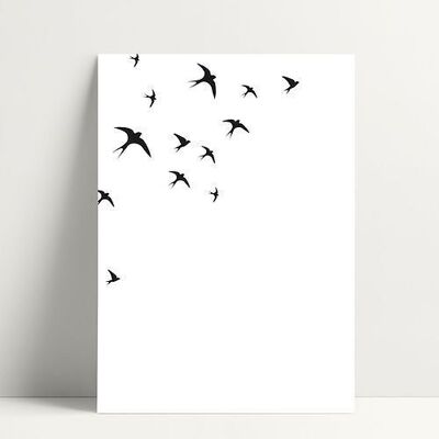 Swallows - Postcard