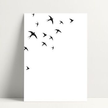 Swallows - Carte Postale