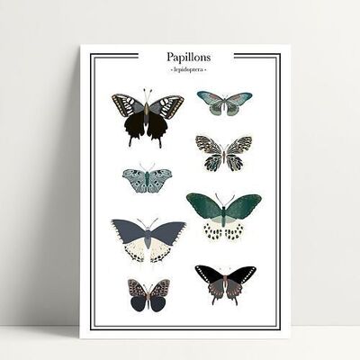 Butterflies - Postcard