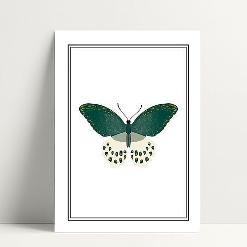 Butterfly - Carte Postale