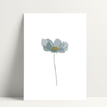 Anemone - Carte Postale