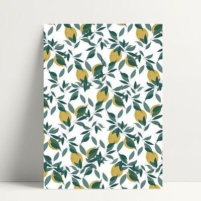 Lemons Leaves - Postcard