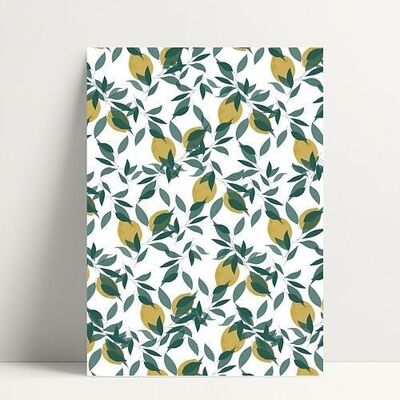 Lemons Leaves - Carte Postale