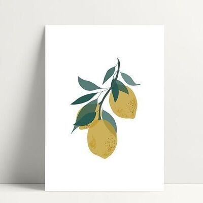 Summer Lemons - Postcard