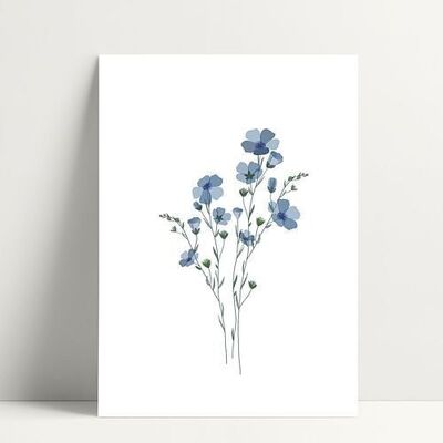 Myosotis - Postkarte