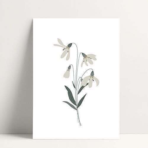 Edelweiss - Carte Postale