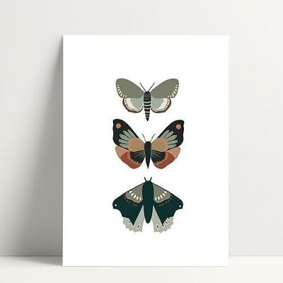 3 Butterflies - Postcard