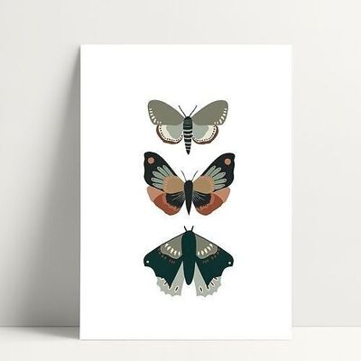 3 Butterflies - Carte Postale