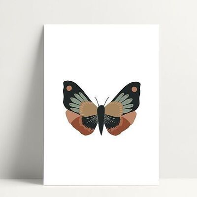 Farfalla pavone - Cartolina