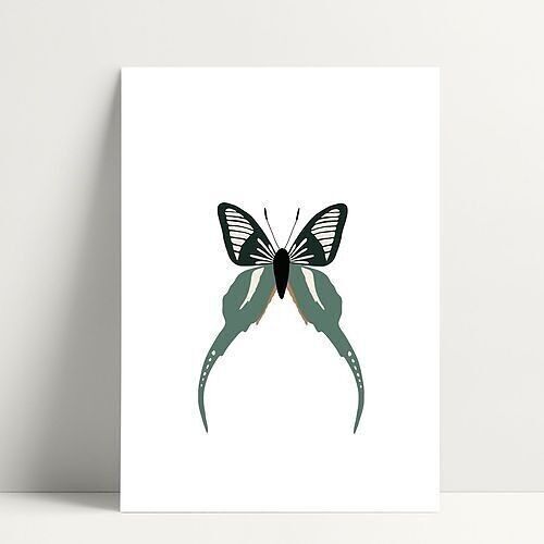 Circus Butterfly - Carte Postale