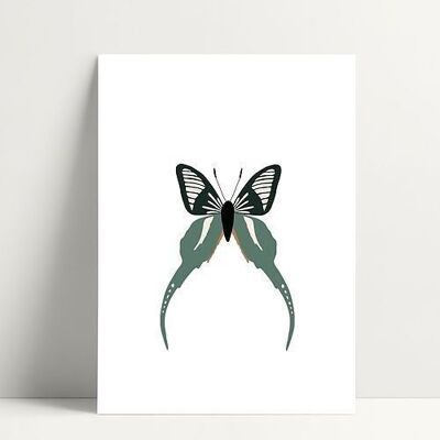 Circus Butterfly - Postcard
