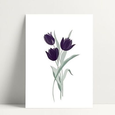 Tulipán morado - Postal