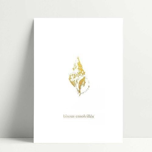 Seashell - Carte Postale