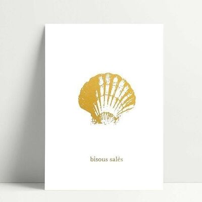 Scallop shell - Postcard