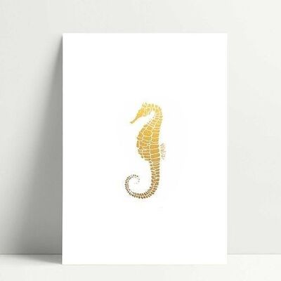 Seahorse - Carte Postale