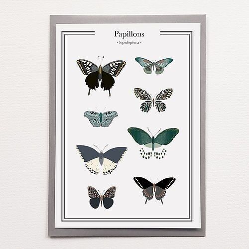 A4 Butterflies - Affiche