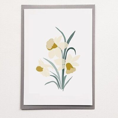 A4 Wild Daffodil - Poster