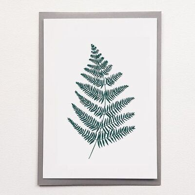 A4 Fern - Affiche