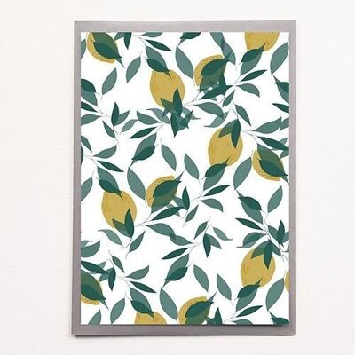 A4 Lemons Leaves - Poster