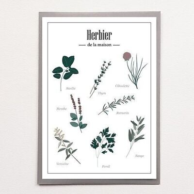 A4 Herbarium - Poster