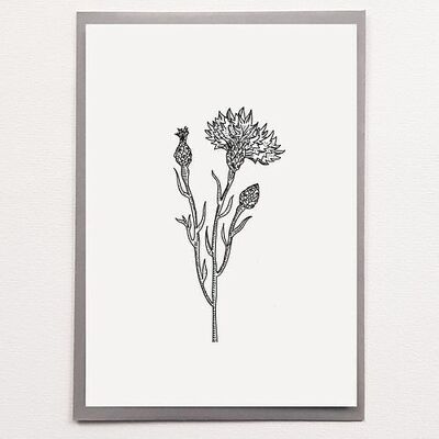 A4 Thistle - Poster