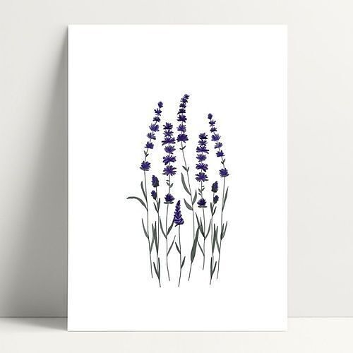 A4 Lavender - Affiche