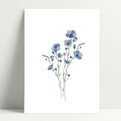 A4 Forget-Me-Not - Poster