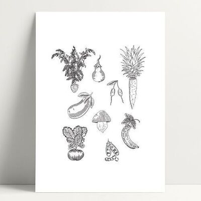 A4 Fruits & Vegetables - Poster