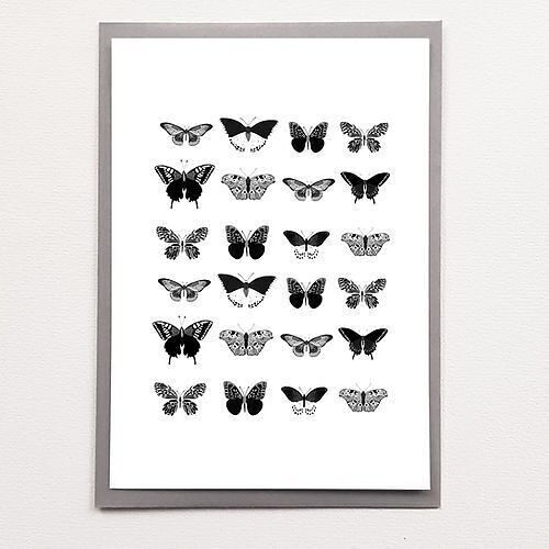 A5 Butterflies - Affiche
