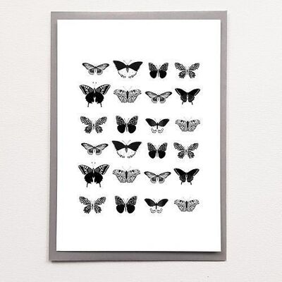 A5 Schmetterlinge - Poster