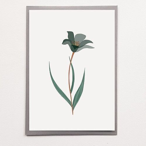 A5 Tulip - Affiche