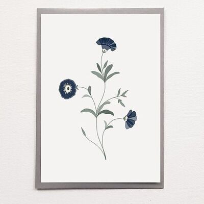 A5 Fiori Blu - Poster