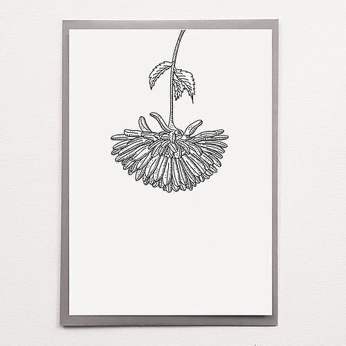 A5 Chrysanthemum - Affiche