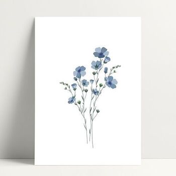 A5 Myosotis - Affiche