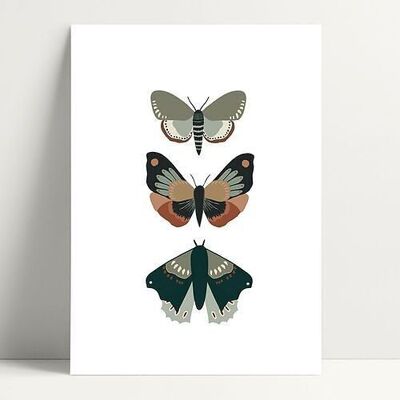 A5 3 Butterflies - Poster