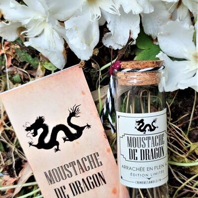 Dragon's Whisker Vial