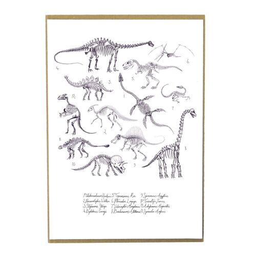 Mesozoic Dinosaur Art Print