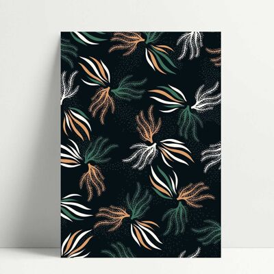 Seaweeds - Postcard