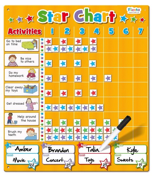 Magnetic Large Star Chart