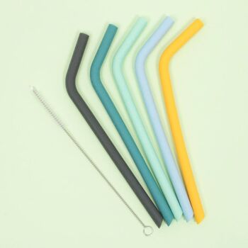 Pailles en silicone Sun & Sky (lot de 5) 4