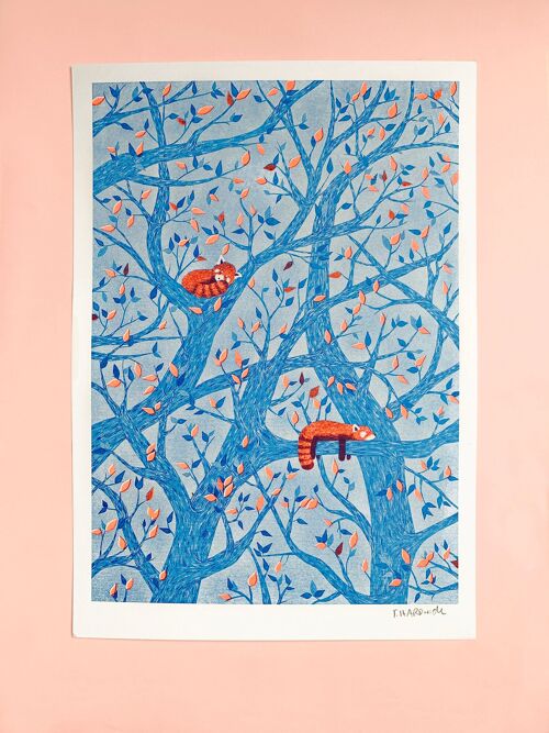 Snoozing Red Pandas (Blue) Risograph Print