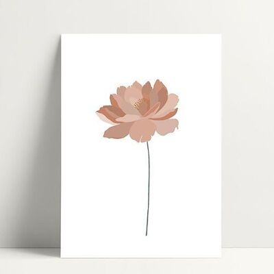 Pink Peony - Carte Postale