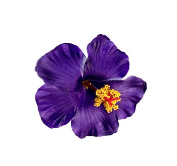 Barrette Fleur Vahiné 6