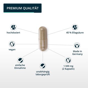 gélules d'extrait de pépins de grenade brandl® (avec antioxydants) | Qualité supérieure testée par un laboratoire externe 4